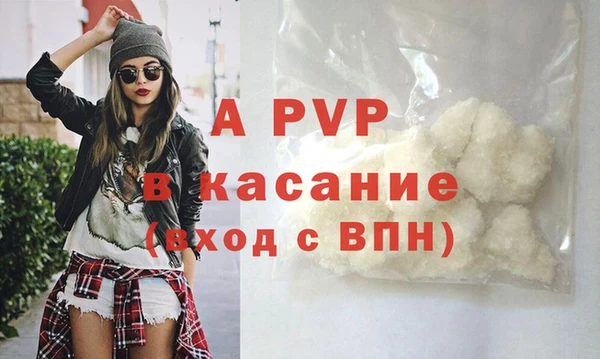 гашик Баксан