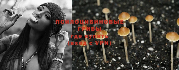 СК Балахна