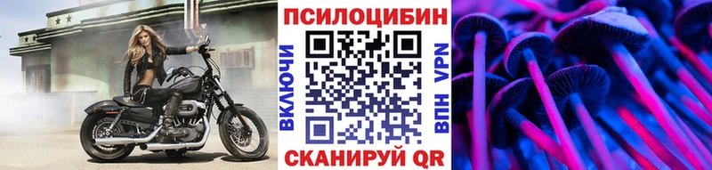 Псилоцибиновые грибы мицелий  блэк спрут ссылки  Белогорск 